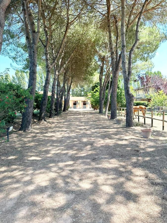 Turfrose Di San Rossore A Pisa By Zoom In Earth Ngoại thất bức ảnh